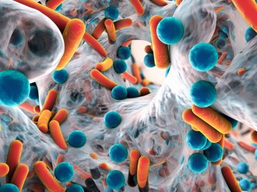 Ученые проследили за каннибализмом у бактерий